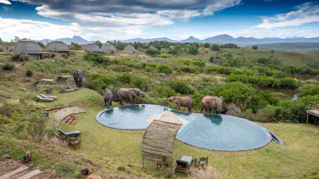 South Africa Grand (10 Nights) - Image 2